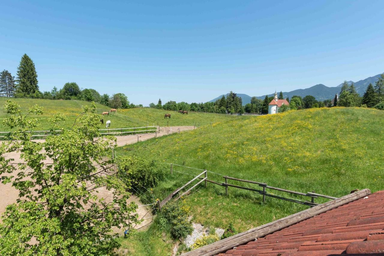 Allgäumax